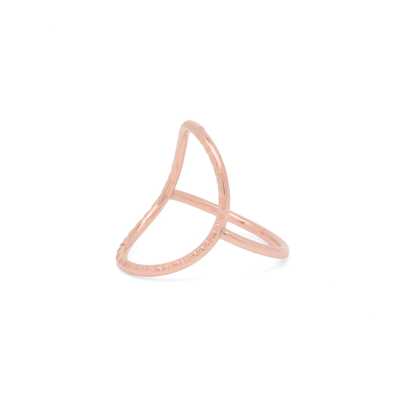 Anita Ring – Bold Hammer Textured 14k Gold Circle Ring | Agapantha